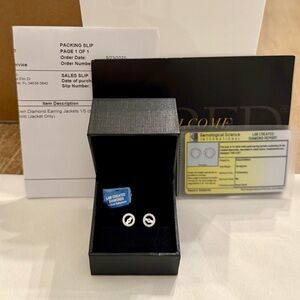 NWT Diamond Earring Jackets